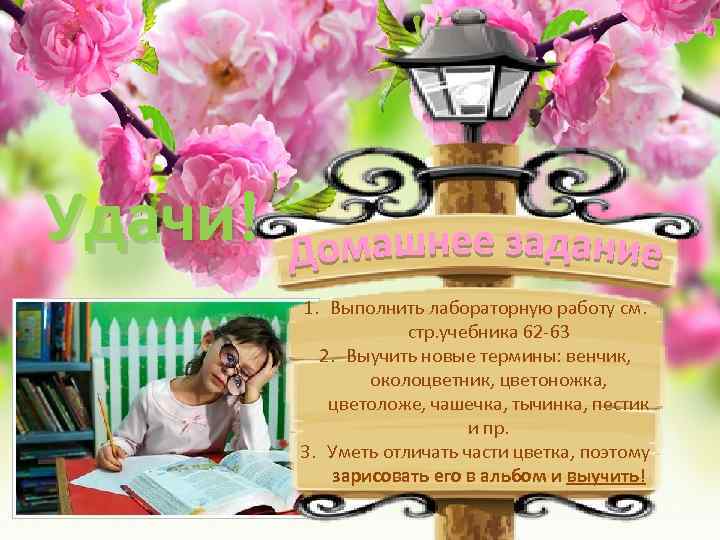 Удачи! 1. Выполнить лабораторную работу см. стр. учебника 62 -63 2. Выучить новые термины: