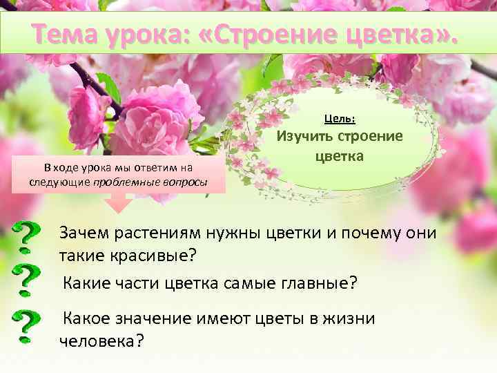 Цели с цветами