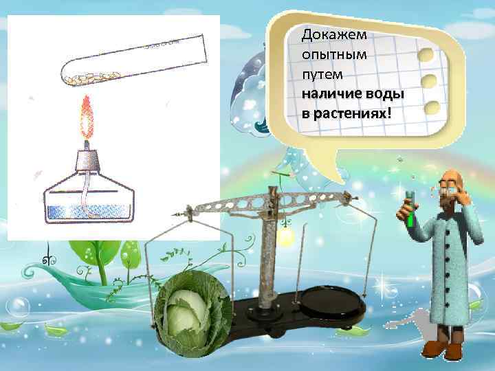Докажем опытным путем наличие воды в растениях! 