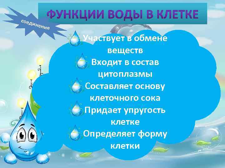 соед инен ия o Участвует в обмене веществ o Входит в состав цитоплазмы o