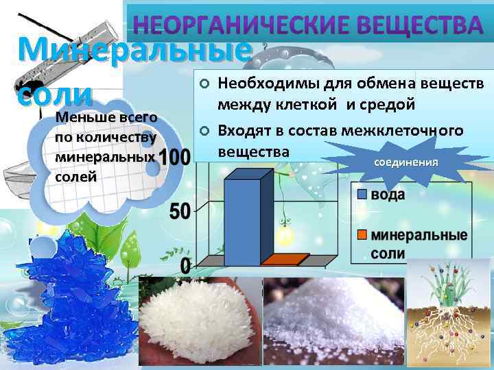 Функции обмена минеральных солей