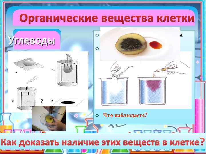 Органические вещества клетки Углеводы На клубень картофеля капнем йод. Что наблюдаете? В стакан нальем
