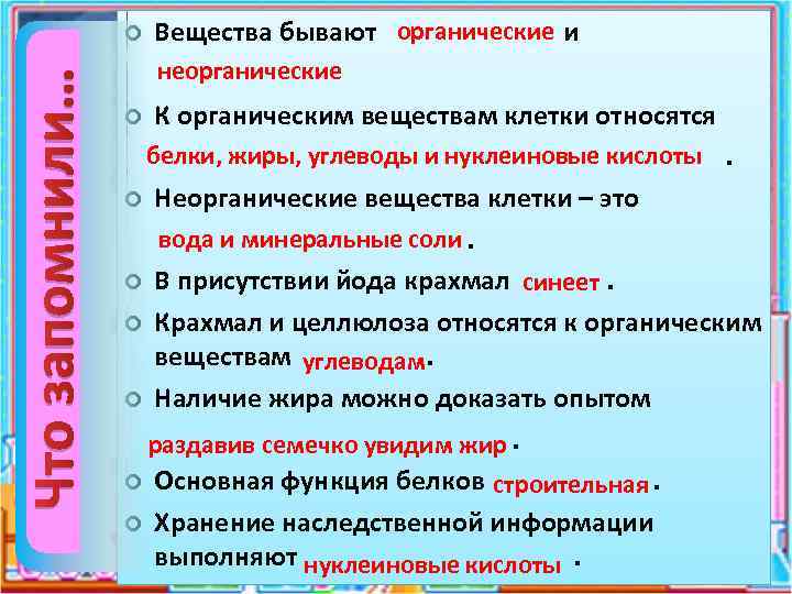 Веществам клетки относятся