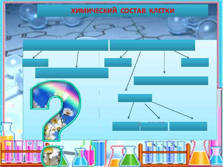 ХИМИЧЕСКИЙ СОСТАВ КЛЕТКИ НЕОРГАНИЧЕСКИЕ ВЕЩЕСТВА ВОДА МИНЕРАЛЬНЫЕ СОЛИ ЖИРЫ БЕЛКИ НУКЛЕИНОВЫЕ КИСЛОТЫ УГЛЕВОДЫ КРАХМАЛ
