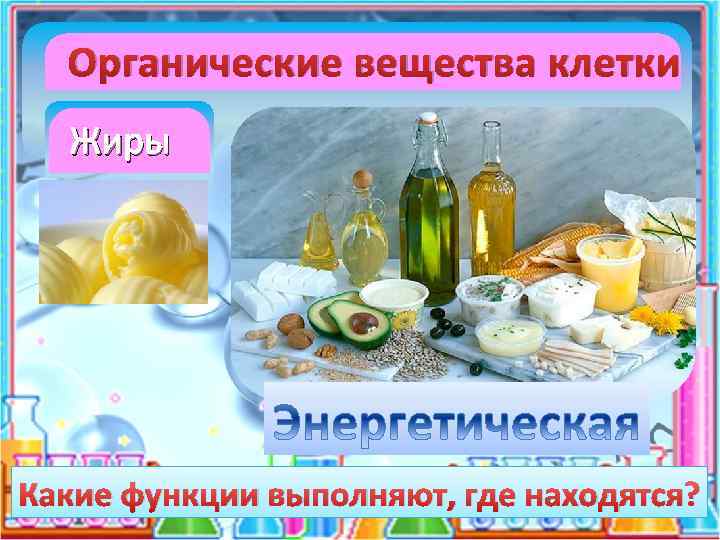 Органические вещества клетки Жиры Какие функции выполняют, где находятся? 
