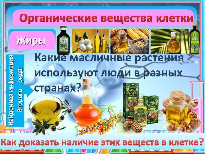 Органические вещества клетки Найденная информация Второго ряда Жиры Какие масличные растения используют люди в