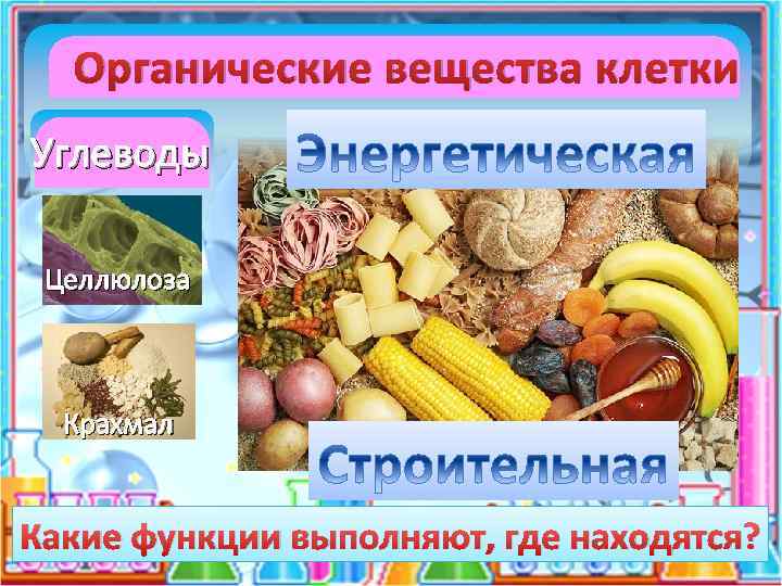 Запасным углеводом человека является. Органические вещества клетки углеводы.