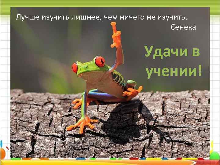 Лучше изучить лишнее, чем ничего не изучить. Сенека Удачи в учении! 