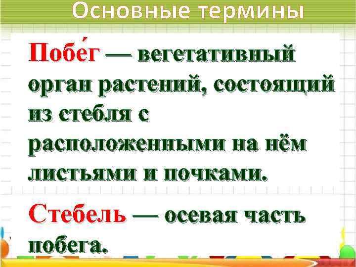 Основные термины Побе г — вегетативный орган растений, состоящий из стебля с расположенными на