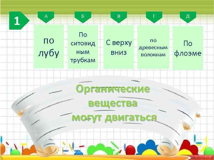 1 А по лубу Б В Г Д По ситовид ным трубкам С верху