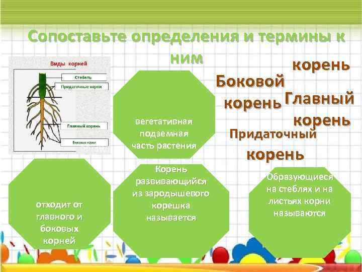 Сопоставьте определения