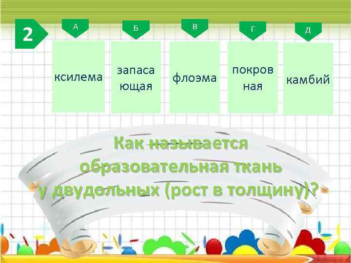 2 А ксилема Б запаса ющая В флоэма Г Д покров камбий ная Как