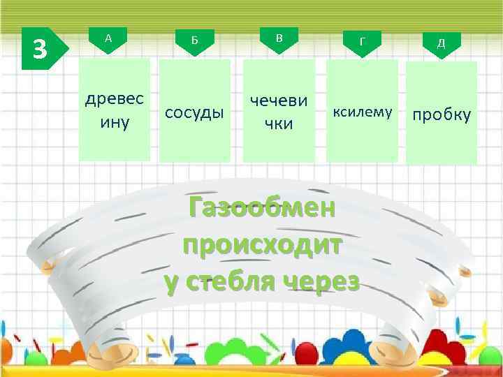 3 А древес ину Б В Г Д сосуды чечеви чки ксилему пробку Газообмен