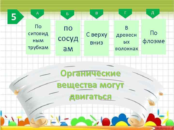 5 А Б По ситовид ным трубкам по сосуд ам В С верху вниз
