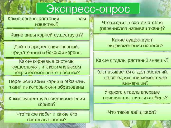 Экспресс-опрос Какие органы растений известны? вам Какие виды корней существуют? Дайте определения главный, придаточный