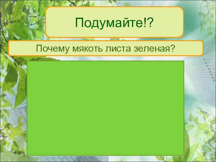 Подумайте!? Почему мякоть листа зеленая? 