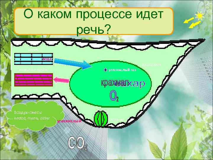 О каком процессе идет речь? Сосуды вода Хлоропласт углекислый газ Ситовидные трубки Воздух-смесь: влага,