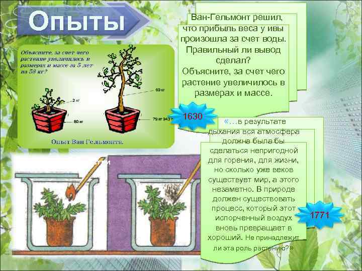 Опыты Ван-Гельмонт решил, что прибыль веса у ивы произошла за счет воды. Правильный ли