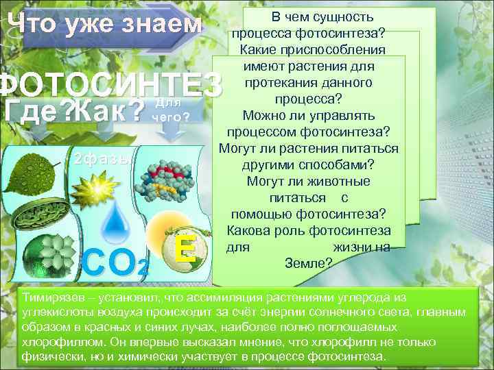 Что уже знаем В чем сущность процесса фотосинтеза? Какие приспособления имеют растения для протекания