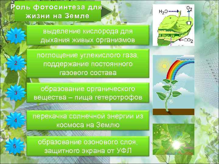 Роль фотосинтеза для жизни на Земле 1 выделение кислорода для дыхания живых организмов 2