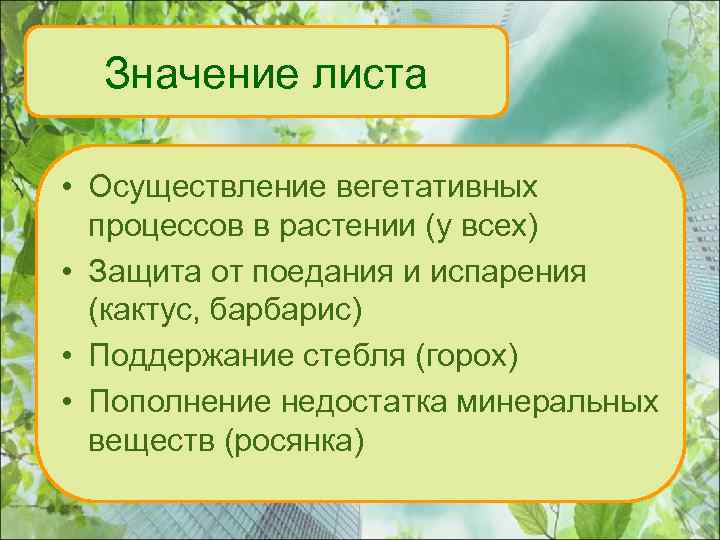 Значение листа • Осуществление вегетативных процессов в растении (у всех) • Защита от поедания