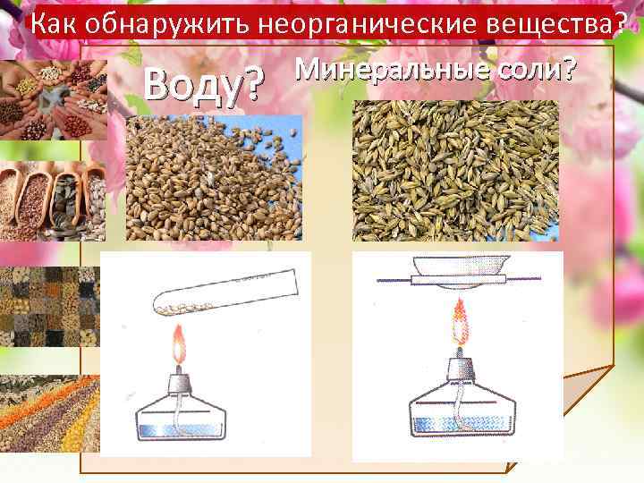 Как обнаружить неорганические вещества? Минеральные соли? Воду? 