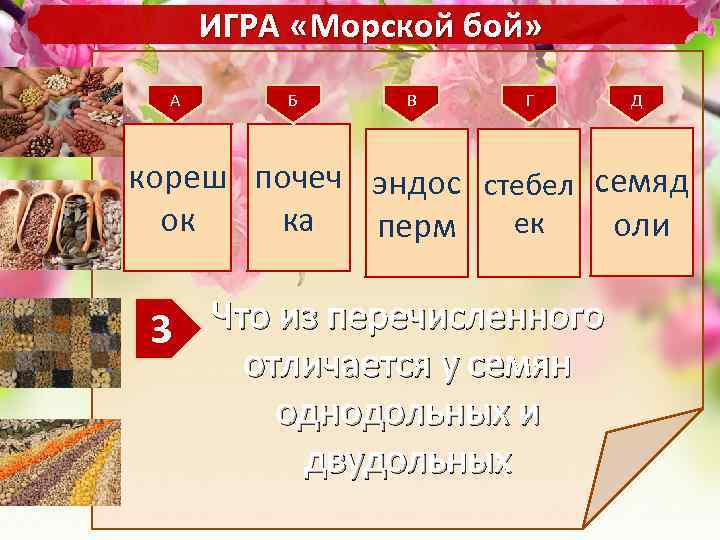 ИГРА «Морской бой» А Б В Г Д кореш почеч эндос стебел семяд ок