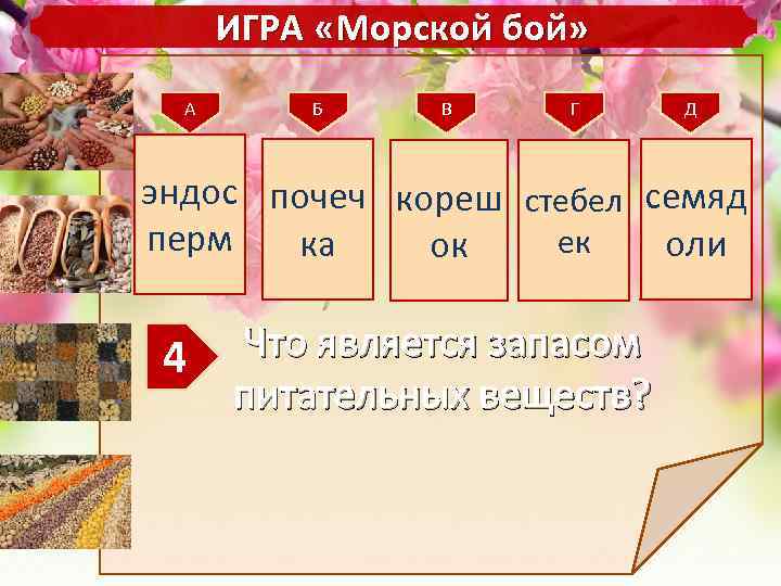 ИГРА «Морской бой» А Б В Г Д эндос почеч кореш стебел семяд перм
