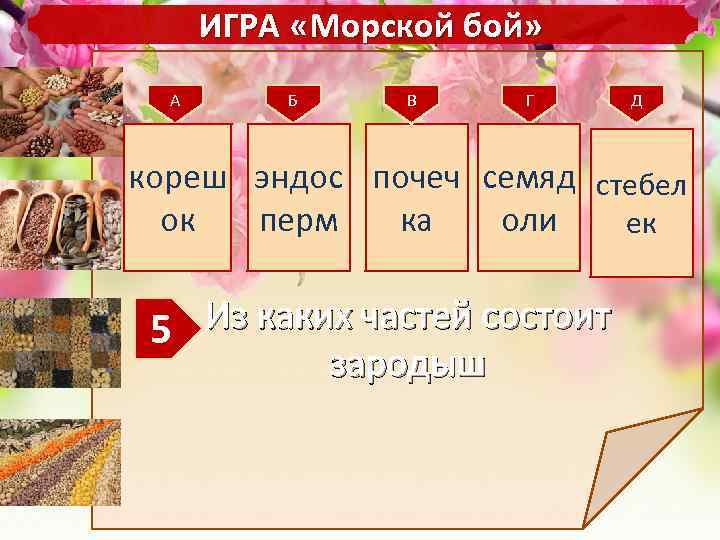 ИГРА «Морской бой» А Б В Г Д кореш эндос почеч семяд стебел ок