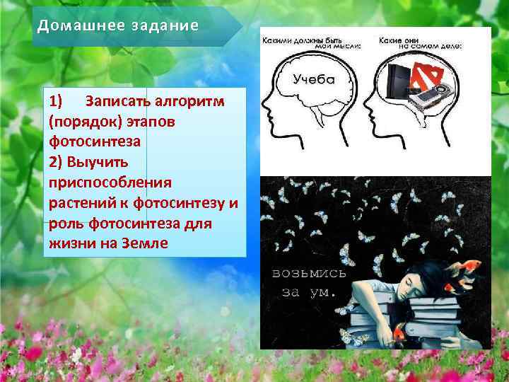 Домашнее задание 1) Записать алгоритм (порядок) этапов фотосинтеза 2) Выучить приспособления растений к фотосинтезу