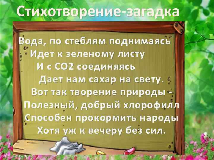 Стихотворение-загадка Вода , по стеблям поднимаясь Идет к зеленому листу И с СО 2