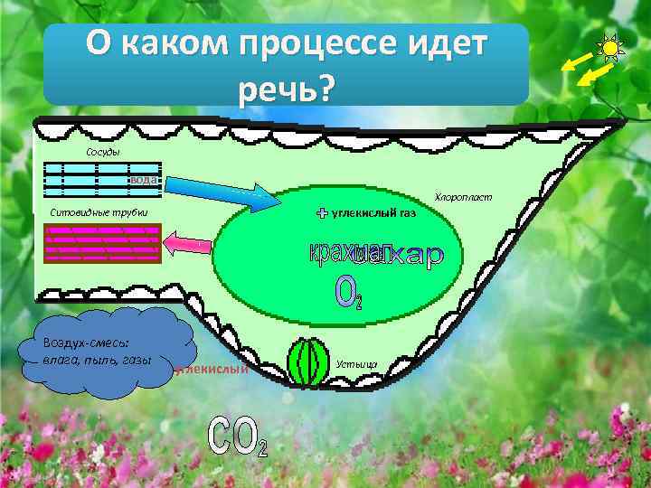 О каком процессе идет речь? Сосуды вода Хлоропласт углекислый газ Ситовидные трубки Воздух-смесь: влага,