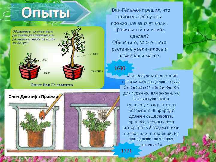 Опыты Ван-Гельмонт решил, что прибыль веса у ивы произошла за счет воды. Правильный ли