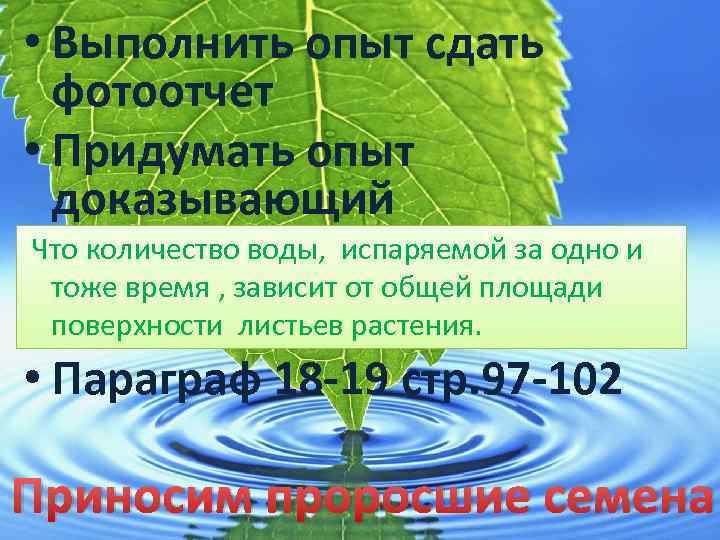 Испаряют значительное количество воды. От чего зависит испарение воды растениями. Сколько бамбук испаряет воды. Глобус\сколько воды в растениях. Количеством граммов воды, испаренной с 1 м2 поверхности листьев за час:.