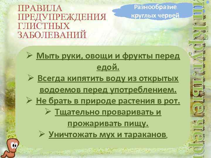 Разнообразие круглых червей Ø Мыть руки, овощи и фрукты перед едой. Ø Всегда кипятить