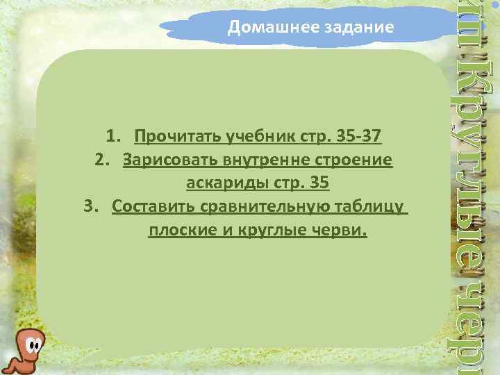 1. Прочитать учебник стр. 35 -37 2. Зарисовать внутренне строение аскариды стр. 35 3.