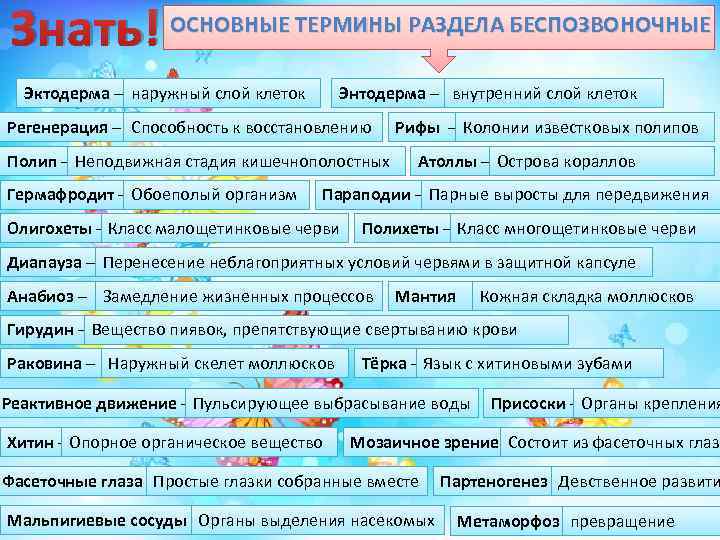 Разные термины. Современная систематика беспозвоночных. Общие признаки беспозвоночных. Основные характеристики беспозвоночных животных. Современная классификация беспозвоночных.