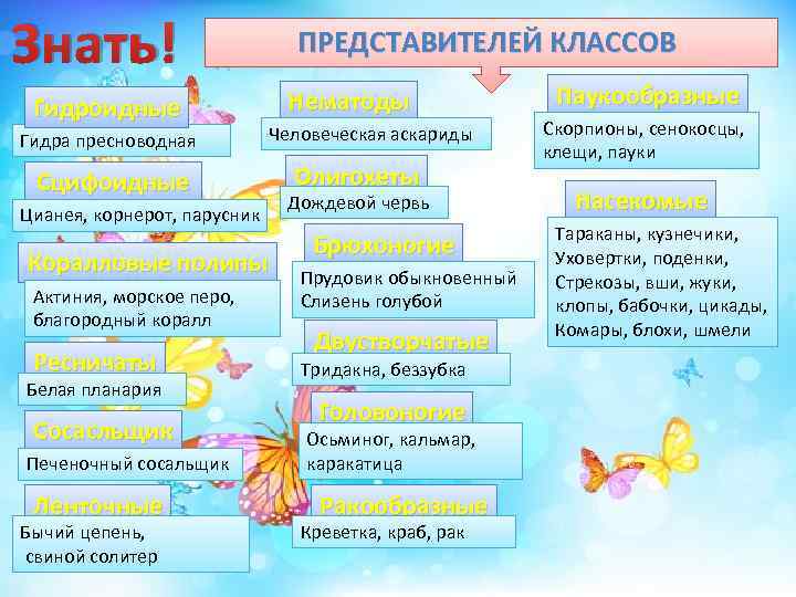 Знать! Гидроидные Гидра пресноводная Сцифоидные Цианея, корнерот, парусник Коралловые полипы Актиния, морское перо, благородный