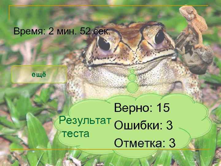 Время: 2 мин. 52 сек. ещё Верно: 15 Результат Ошибки: 3 теста Отметка: 3