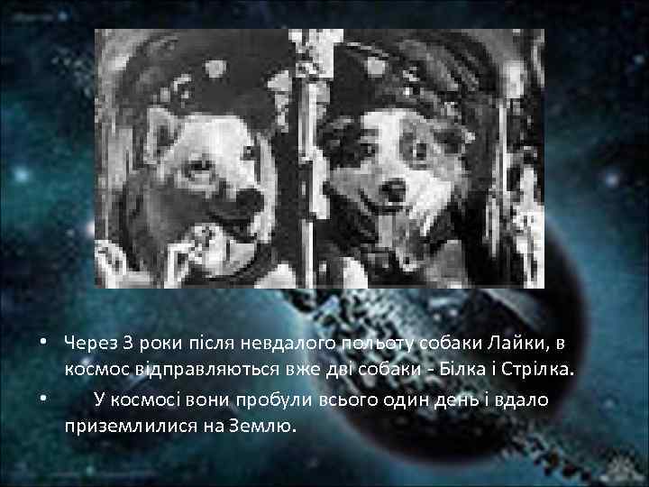  • Через 3 роки після невдалого польоту собаки Лайки, в космос відправляються вже