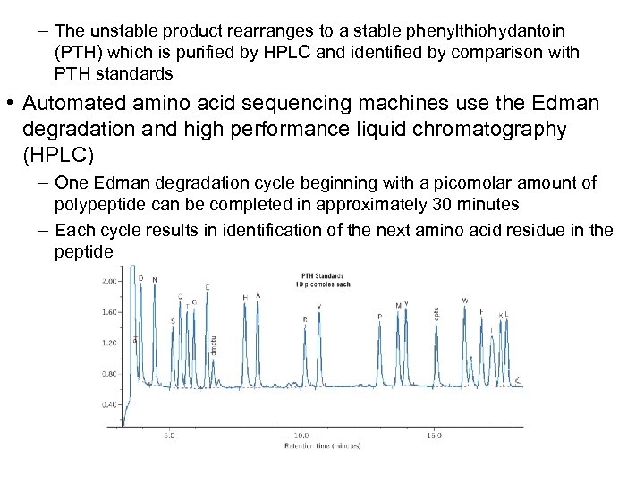 – The unstable product rearranges to a stable phenylthiohydantoin (PTH) which is purified by