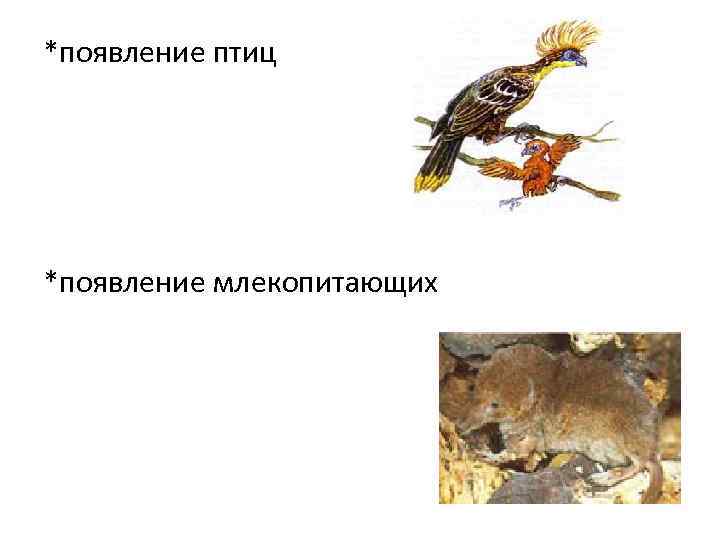 *появление птиц *появление млекопитающих 