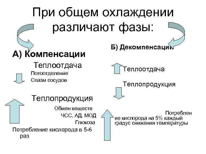 При общем охлаждении различают фазы: А) Компенсации Теплоотдача Потоотделение Спазм сосудов Б) Декомпенсации Теплоотдача