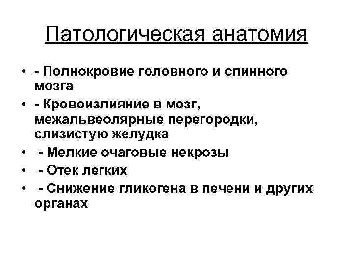 Патологическая анатомия • - Полнокровие головного и спинного мозга • - Кровоизлияние в мозг,