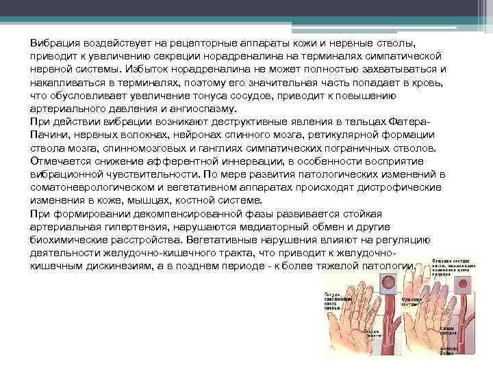 Вибрация воздействует на рецепторные аппараты кожи и нервные стволы, приводит к увеличению секреции норадреналина
