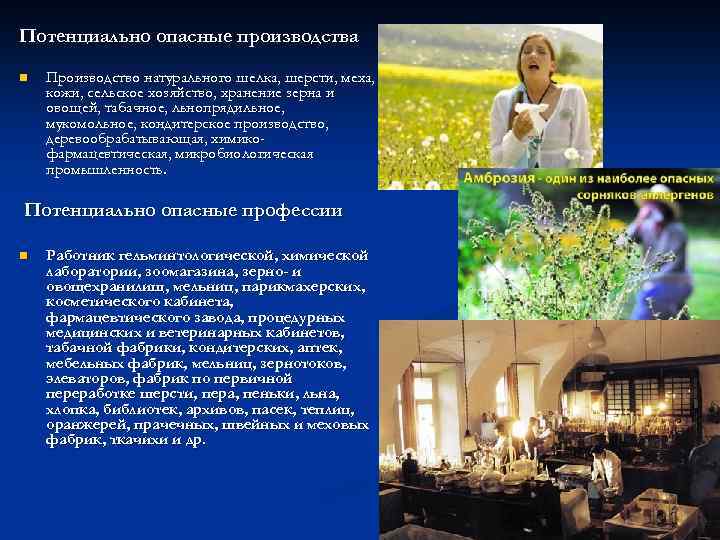 Потенциально опасные производства n Производство натурального шелка, шерсти, меха, кожи, сельское хозяйство, хранение зерна