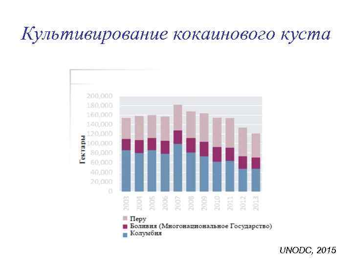 Культивирование кокаинового куста UNODC, 2015 