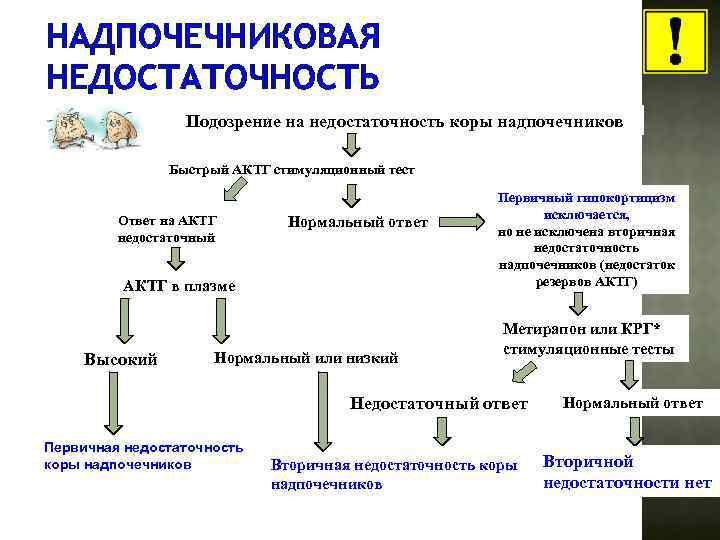 НАДПОЧЕЧНИКОВАЯ НЕДОСТАТОЧНОСТЬ Подозрение на недостаточность коры надпочечников Быстрый АКТГ стимуляционный тест Ответ на АКТГ