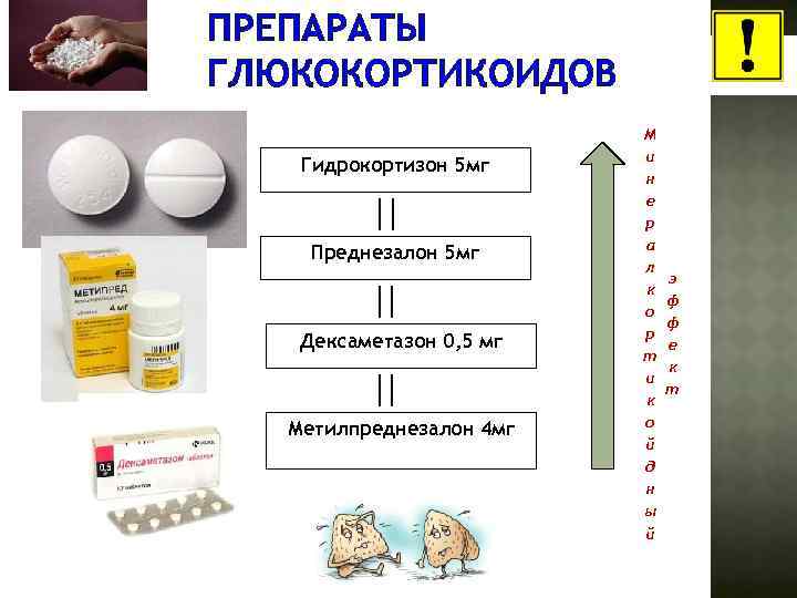 ПРЕПАРАТЫ ГЛЮКОКОРТИКОИДОВ Гидрокортизон 5 мг Преднезалон 5 мг Дексаметазон 0, 5 мг Метилпреднезалон 4