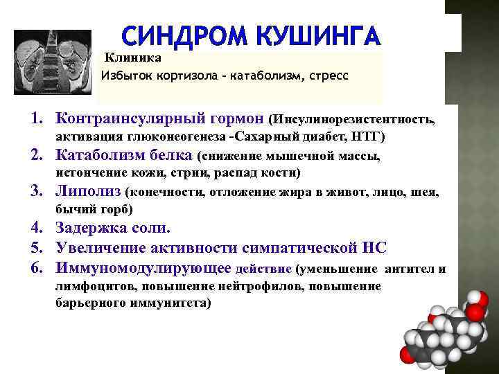 СИНДРОМ КУШИНГА Клиника Избыток кортизола – катаболизм, стресс 1. Контраинсулярный гормон (Инсулинорезистентность, 2. 3.